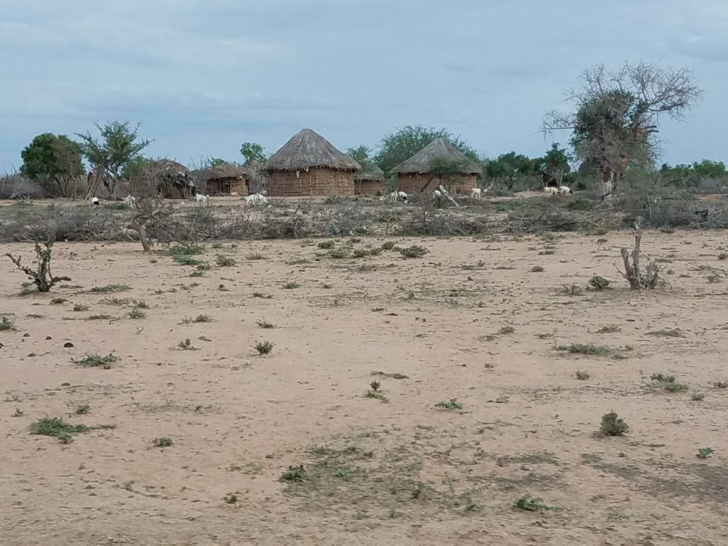 Un grupo de cabañas con techo de paja se encuentra en el extremo de un terreno arenoso en la zona rural de Kenia