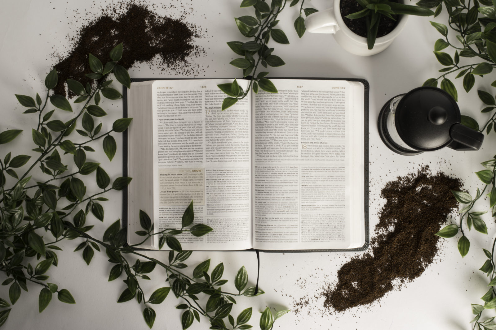 What Does the Bible Say about Your Purpose?