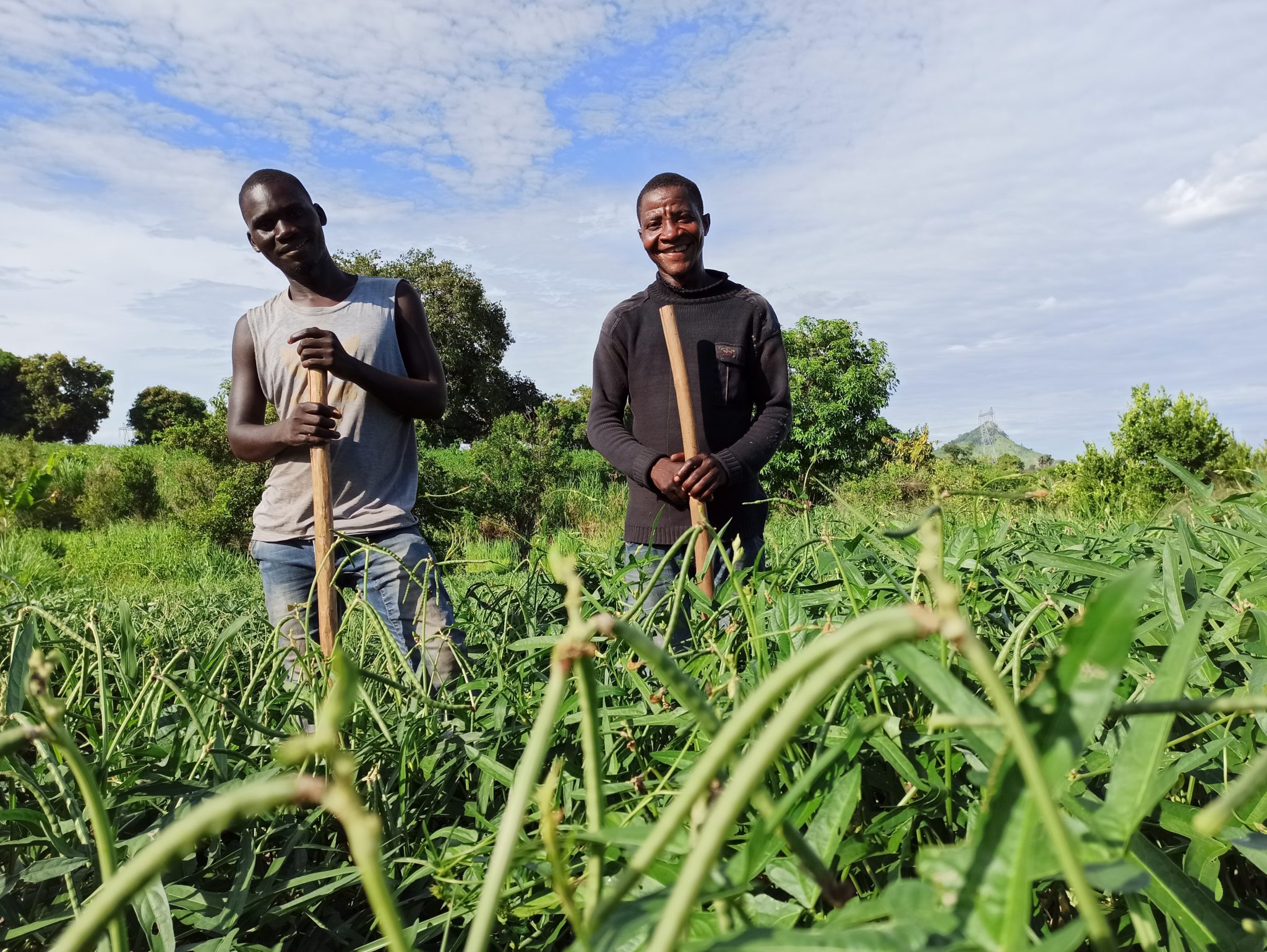 Two Mozambican men stand proudly in a field of black-eyed peas