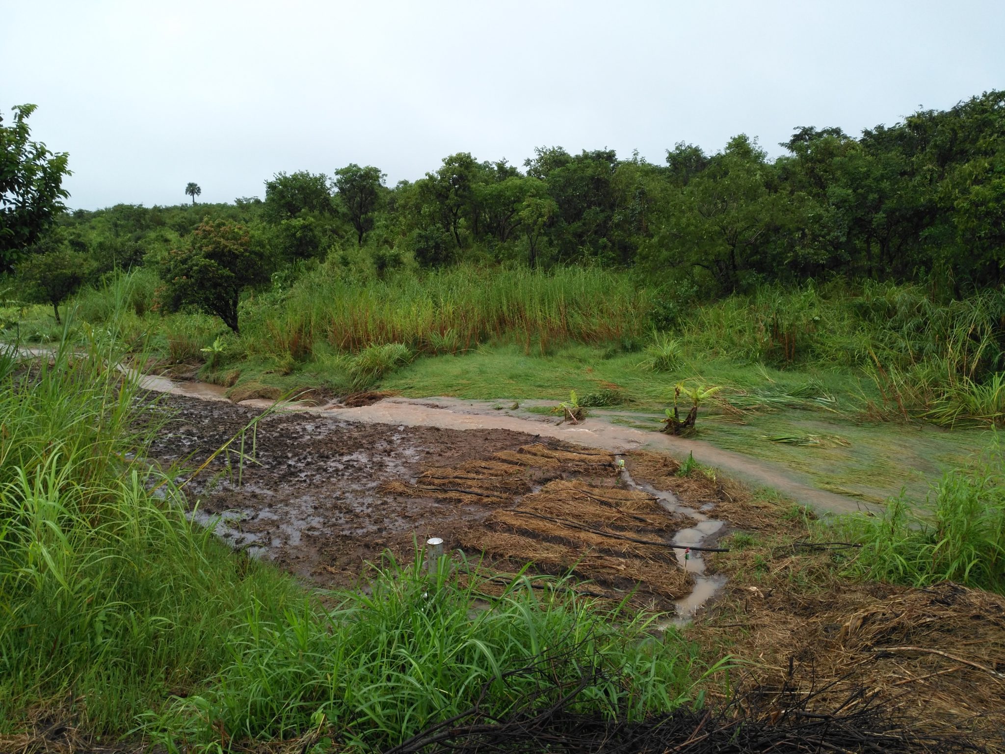 A wet field after Cyclone Idai flooded it
