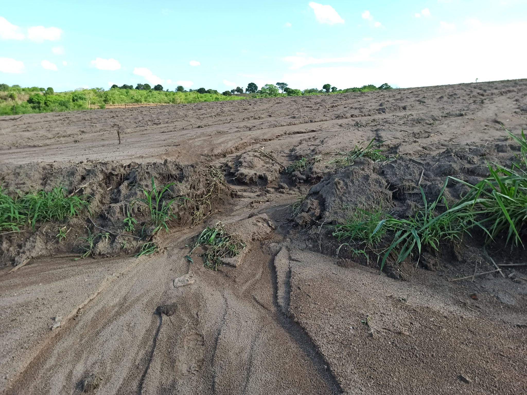 A field shows signs of erosion from water