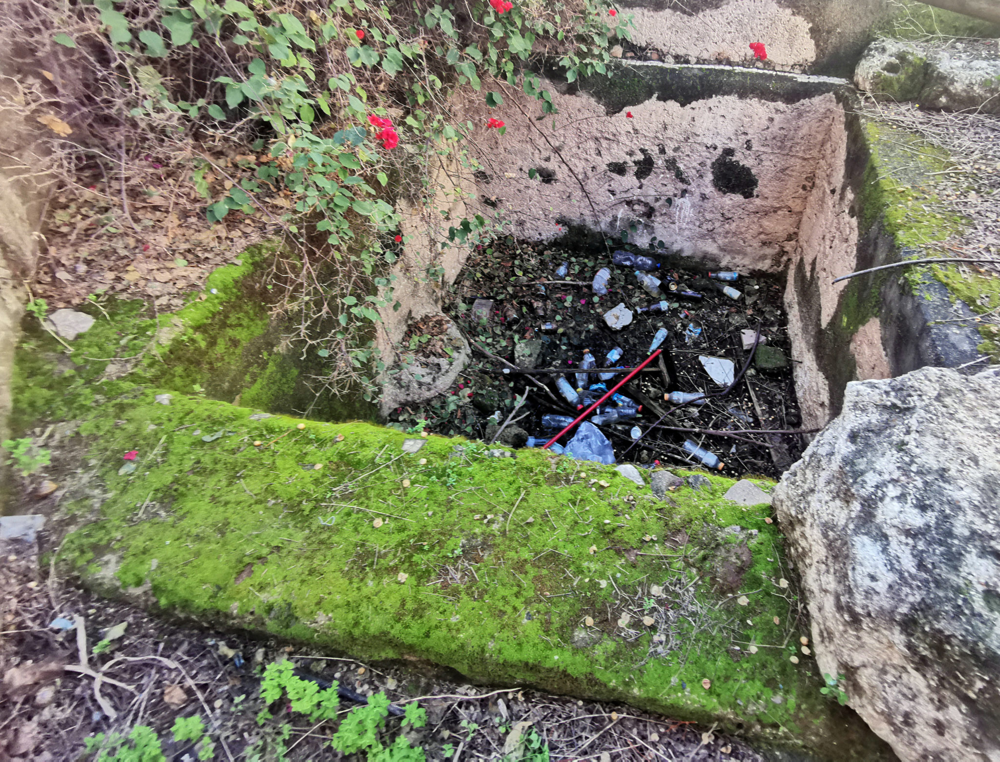 The ruins of an ancient Israeli winepress; a stone vat is visible, which would have held the grapes