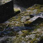 stone cross on mossy grave marker