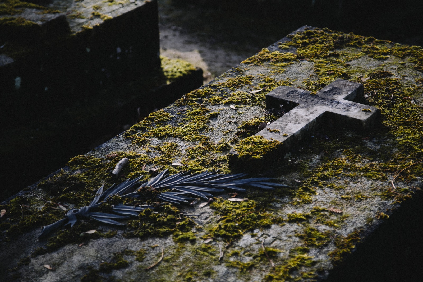 How Facing Death with Christian Hope Can Help Us Find New Life in Christ