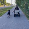 woman in wheelchair wheels down the sidewalk with her black dog next to her
