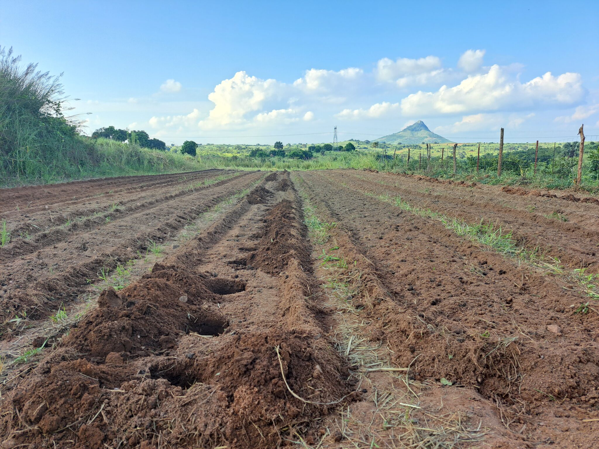 brown-red soil ready for planting with mountain in background