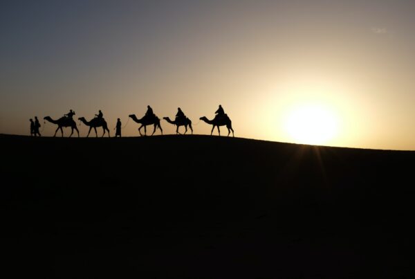 silueta de personas viajando con camellos