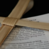cross made of dried palm branches lays on top of open Bible with palm branch sketch in margins